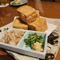 魚竹 - 