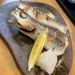 入船寿司・割烹 - 