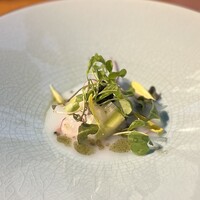 COLK  - ヒラメ 蛤 芹 クスクス キャビア 昆布