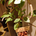 幸せのパンケーキ - 