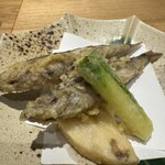 菜な みずき - 