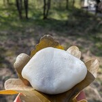 Kashi Dokoro Oraga - 