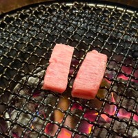 みやび 六本木店 - 