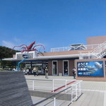 マーメイドギャレー - 