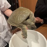 すっぽん 田一 - 