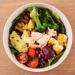 Healthcare Meal - Healthcare Protein Salad