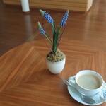 メンデルスゾーン・ハウス - こんな席です