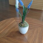 メンデルスゾーン・ハウス - 飲食店のテーブルには必ず植物があります（ファストフードを除く）