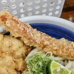 トウキョウライトブルー ホンゴウスリー - 
