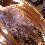 フランス料理Y's - この子は女の子です、触らせてもらいました。