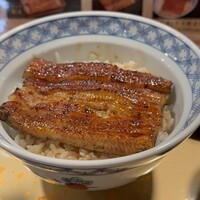 うなぎ 目白ぞろ芽 - 