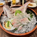 Zauo Hoshizaki Mototen