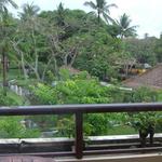 Raja's Balinese Restaurant - 