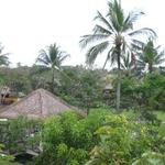 Raja's Balinese Restaurant - 広すぎる庭