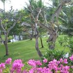 Raja's Balinese Restaurant - 広すぎる庭