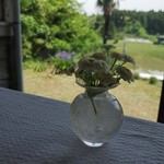 パンと菓子 VERVE - なにもかも素敵☆