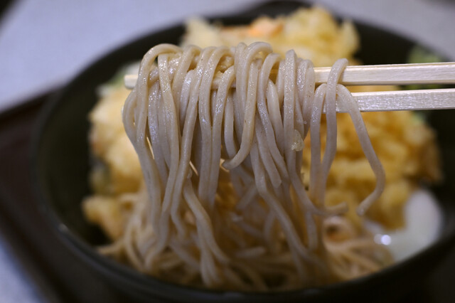 Soba Dokoro Kameya Shinbashi Ten photo 3