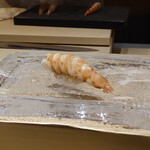 鮨　いの - 車海老