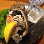 Unoke Tamazushi - 岩牡蠣