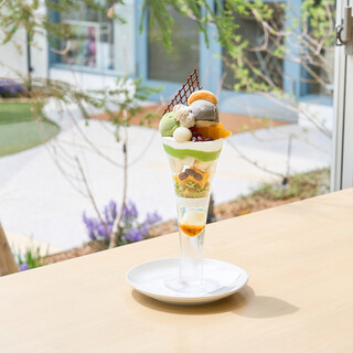 ホシ フルーツ_2