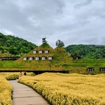 ラ コリーナ近江八幡 - 