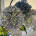 HAUTE COUTURE・CAFE - 