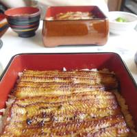 鰻割烹 伊豆栄 本店 - うな重（竹）