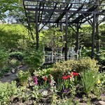 梅蔵 - テラス席