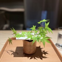 杦 - 