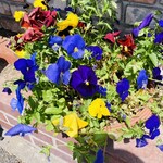 エム・ドゥエル - 