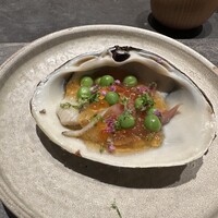 IAKU  - 