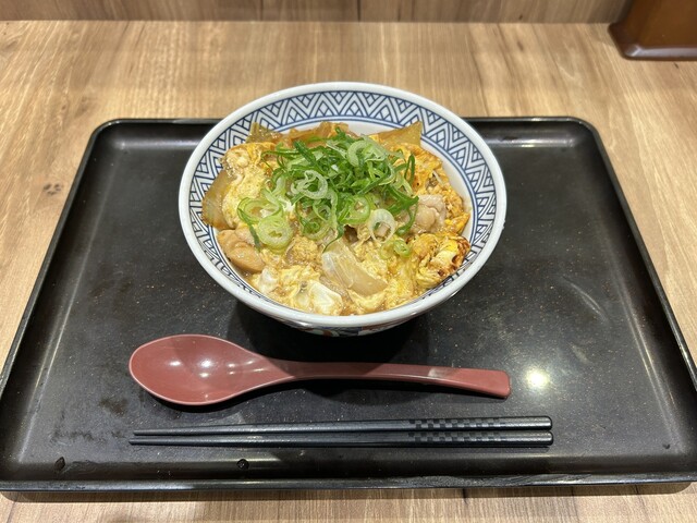Yoshinoya Niyonhachigosen Okazaki Kitaten photo 5
