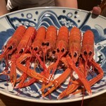 日本料理FUJI - アカザエビ