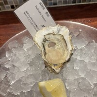 Oysterbar&Wine BELON 渋谷店 - 