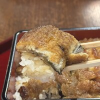 鰻 北白川 - 鰻重 梅（一尾） ごはん大盛り