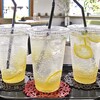 ボンサイ カフェ - ドリンク写真:自家製レモネード（アイス）