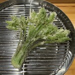 てんぷら 下村 - コシアブラ