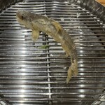 てんぷら 下村 - チアユ