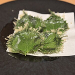 天ぷら たんご - 