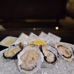 Daliguadalupe Terrace House - 