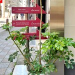 アルバロンガ - 