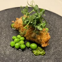 TACUBO - 