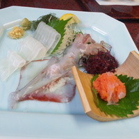 稚加榮 本店 - いかの活き作り（2,300円）