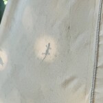 スモール プラネット カフェ - 