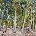 スモール プラネット カフェ - 