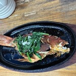 魚屋直営食堂　魚まる - 