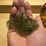 鮨 一二郎 - 海ぶどう