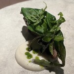 nôtori - 八ヶ岳湧水鱒 酒粕 発酵大根ピューレ クレソン モミジガサ 春菊オイル 行者にんにく 自家製柚子胡椒 アマゴの魚卵