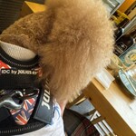 大衆食堂みゆき - この日は抱っこでｗ