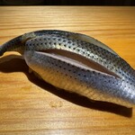 佐野鮨 - コハダ